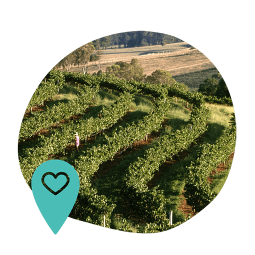 Vineyard with lush green rows on rolling hills under a blue sky. A person in pink stands among the vines. A teal location pin with a heart overlays the bottom left.