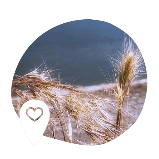Golden wheat stalks sway gently against a serene blue background. A white location pin icon with a heart is overlaid, evoking tranquility and connection.